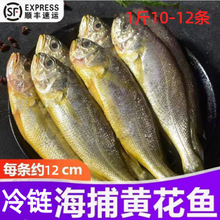 СS~r~rհbҰСS~亣rlS