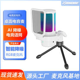 麦克风家用k歌直播高音质台式电脑娱乐AI降噪USB电竞RGB游戏话筒