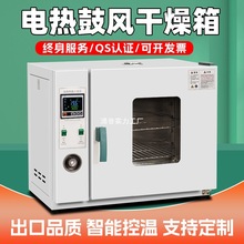 电热恒温鼓风干燥箱高温加热烘干箱高精度工业烤箱实验室烘箱