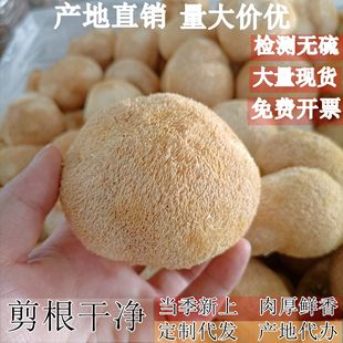 �a��ֱ�N������^��500G�ɺ��^�������خa���lʳ�þ����^�����l