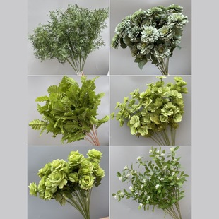 cˇGֲPβ~ȼXݲþGɫϻY