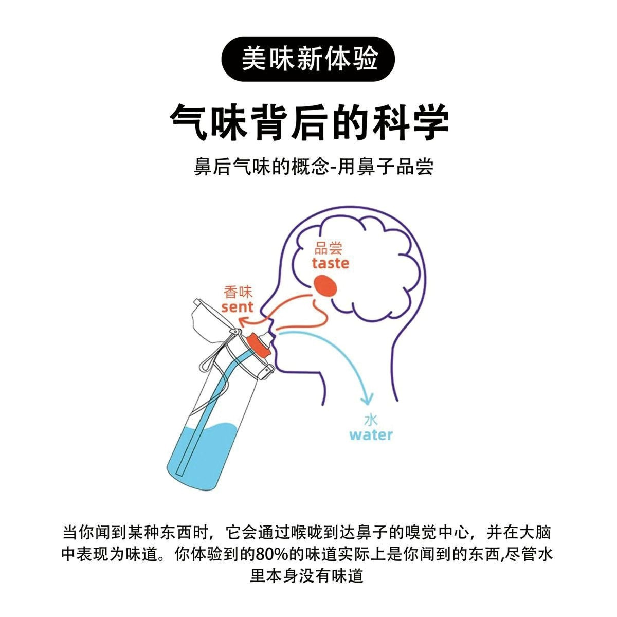 Fábrica directa taza de agua ins 0 azúcar 0 taza de tarjeta 7 anillos de incienso para beber agua fragancia vainas con múltiples sabores de frutas