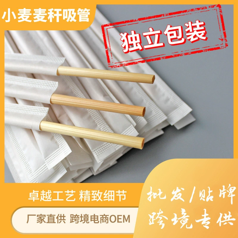 Pack, straw, coffee plant lamp