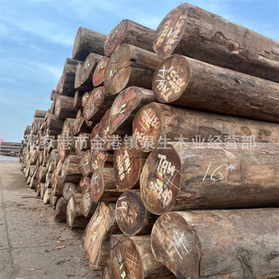 ��ľԭľ ��ľ��� ������ �m����͸���ľ�Ҿ� ��̹�ˇƷ