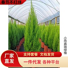 һ�����l�}�Q�����Ɏ���ζ��ڰ�ֲ���҃��̨Ժ������ζ�͸ߜ���