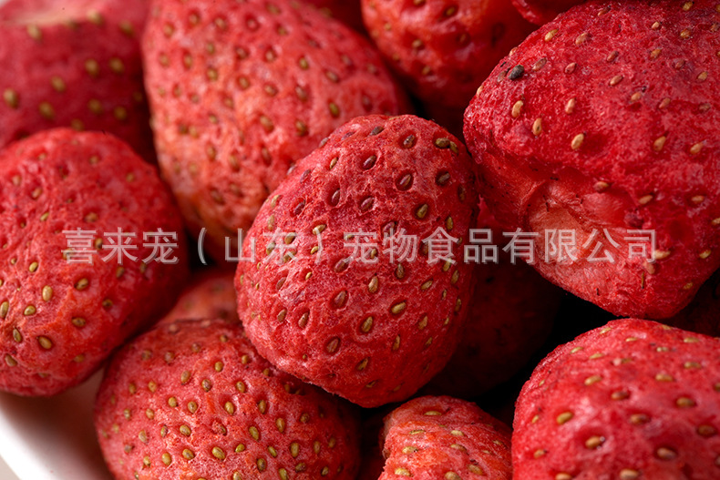 DSC00001.jpg
