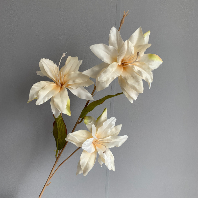 3 리틀 사유리-샴페인