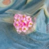 Pink violet (12 pieces/bundle)