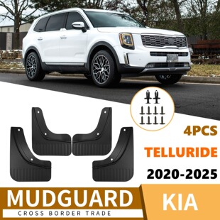 �m�����������ه��Telluride 2020-2025��܇�����Ƥ���Q�羳
