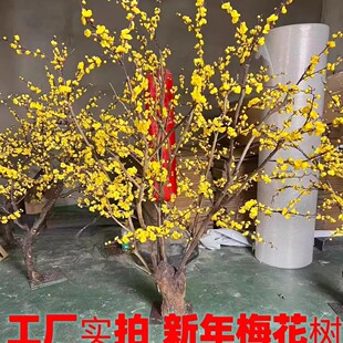����÷������ͷ�÷���S÷���t÷��÷�D÷�����깝���S��b�