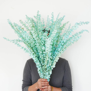 �����ȼ����~��ɫ�~�X��A�~�ɻ����l����~�����Y�b���