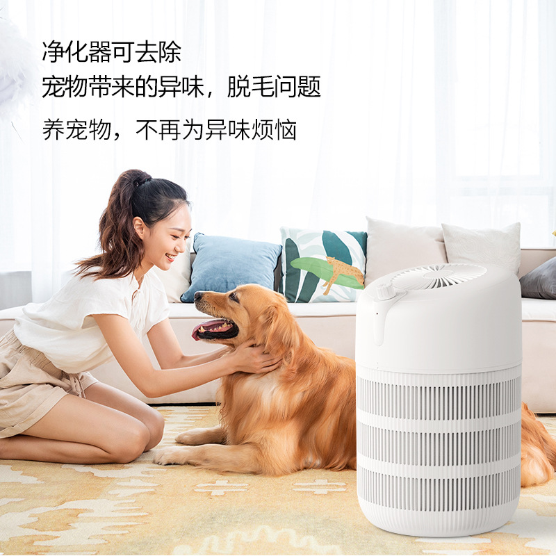 Nobby household Pets anion atmosphere purifier indoor filter hair The allergy. UV Sterilization machine