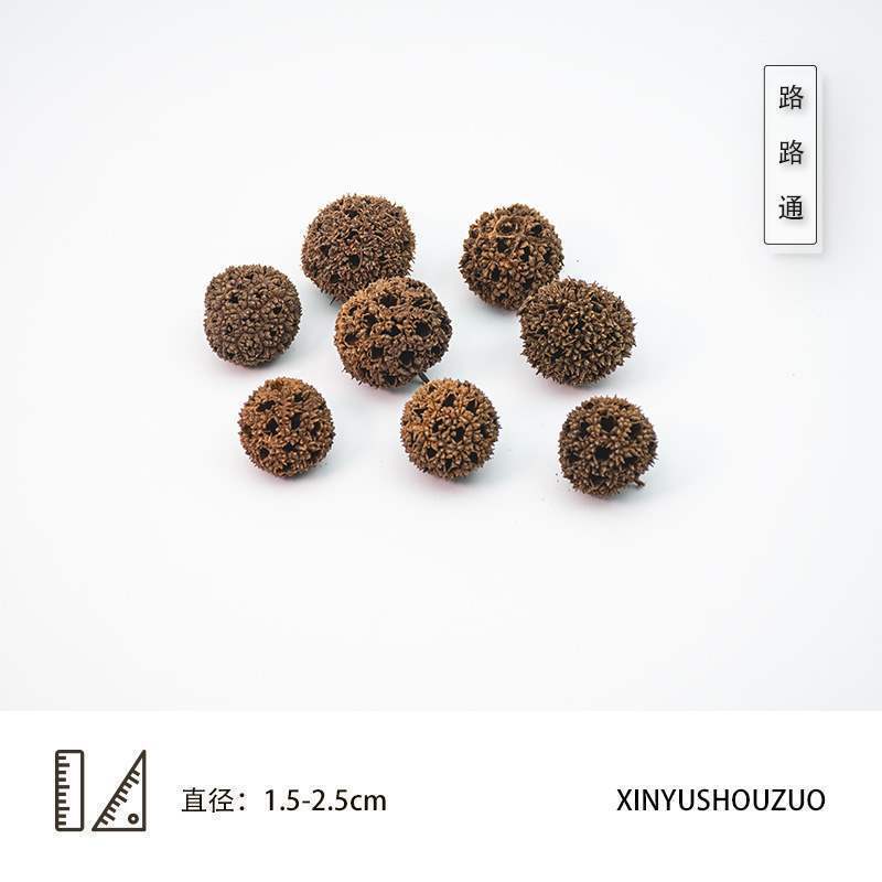 ドライフルーツ 松ぼっくりの種子標本 植物の実 手作りドライフラワー素材 猫の豊かな環境 幼稚園 自然|undefined