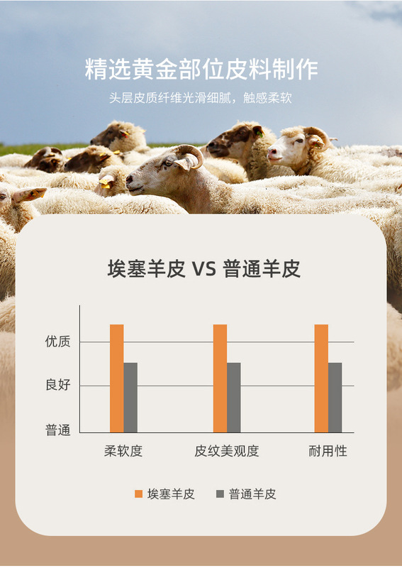 https://www.toonies.cn未標題-1_04.jpg_800x800.jpg