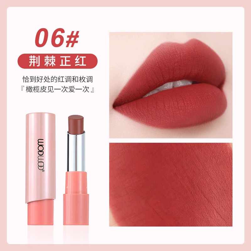 Смягчающая помада WODWOD Soft Mist Matte Lipstick, гладкая и тонкая, бархатная дымка, отбеливающий натуральный цвет, стойкая помада, не сушит кожу