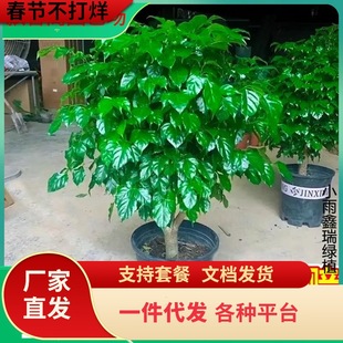 һ�����l�Ҹ���͏d���Դ��w�����՚��¼�����ȩƽ�����ļ�����l