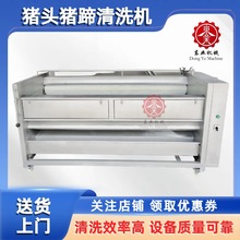 i^ëˢϴC ϴii_O ๦ϴC