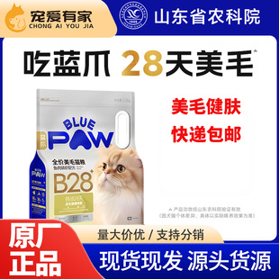 �{צB28ȫ�r��ë؈�Z�~�����r�䷽��؈��؈���w�L���L��ȫ��؈�Z