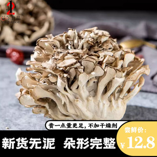 ��؛�cԪ�Ҙ仨��؛�o��ɳ�Ҙ乽���ײ�ջ�����Ģ���r�Ҙ仨���l