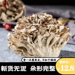 Новые товары Qingyuan Grey Tree Dished Goods без грязи, серые деревья танец грибов, чайные хризантемы грибы свежие серое дерево оптом