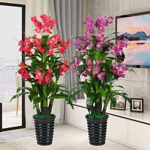 ��٘�ٻ������m�͏d�����b���������҃����ϾGֲ�辰