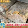 马达加斯加黄金檀田黄方料