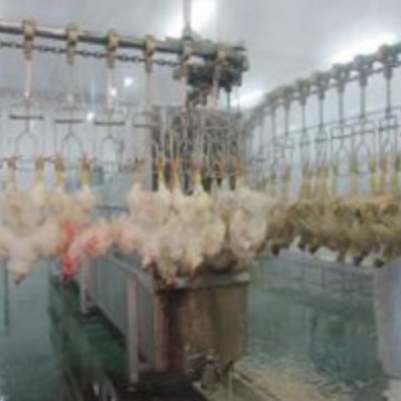 供应鸡鸭鹅宰杀机械 山东省家禽屠宰设备生产销售外贸出口厂家