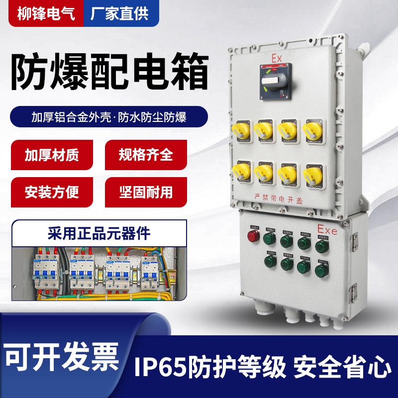 防爆配电箱照明控制电源箱接线检修箱仪表开关插座箱动力柜空箱