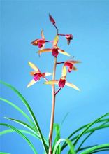 ���m���mޥ�m���mɏ���m�������m���Gֲ��������