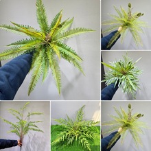 �����������ֲ���Iާ��˹ާ���ݼٲݵز�Gֲܛ�b�b��^�쾰