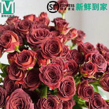 �ɿ������ݶ��^õ�廨���ֱ�l�r���������Z�r�л����ò廨���f��