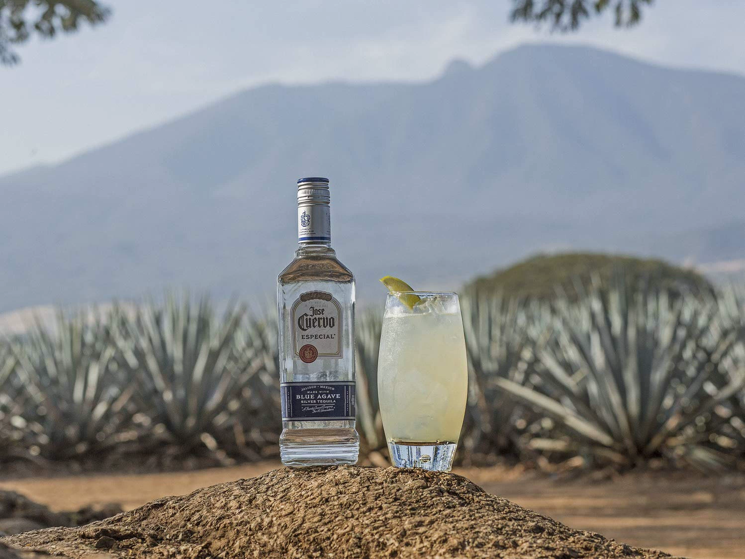 Мексика импортирован Hao Shuaiyin быстрораспространяющееся агитуральное вино Turkira Jose Cuervo Tequila