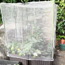 ÎͷxW˵طNֲÎW÷ˮ{ݮɏFω̫ꖂ