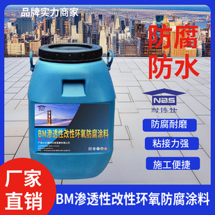 Sewage Pool Bm Permeable Modified Epoxy Anti-Corrosion Coating, Acid and Alkali Corrosion Resistant, Boishi Brand Anti-Corrosion and Waterproof