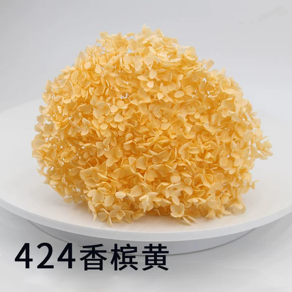 No. 424 Champagne yellow (21~25) cm