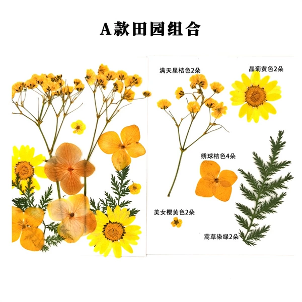 Flower materials - 12 pieces Type A - can be used to make 4 bookmarks