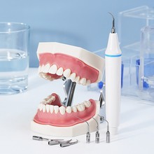 牙科超声波洁牙机工作尖 赛特力通用洁牙机刀头 根管荡洗牙周器械