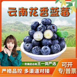 代用/养生茶;花果茶;西式糕点