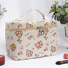 Handheld capacious cosmetic bag for traveling, storage box, wholesale, internet celebrity