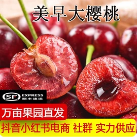 其他水果;梨;番薯类