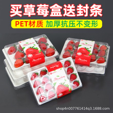 һ���Բ�ݮ����ĭ���в�ݮ����15����ݮ�а��b��PET����11�����b