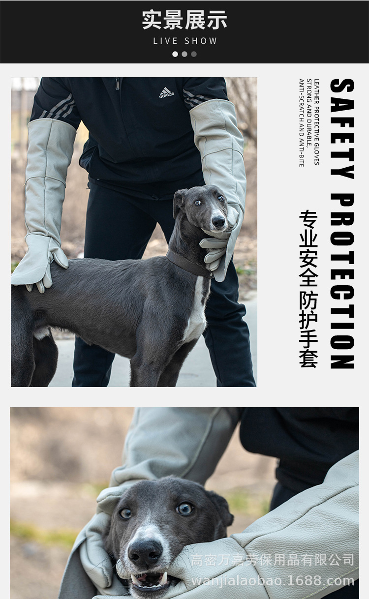 长图_13.jpg