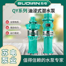 QY�K늱ØISUDIAN��ʽ��ˮ늱�