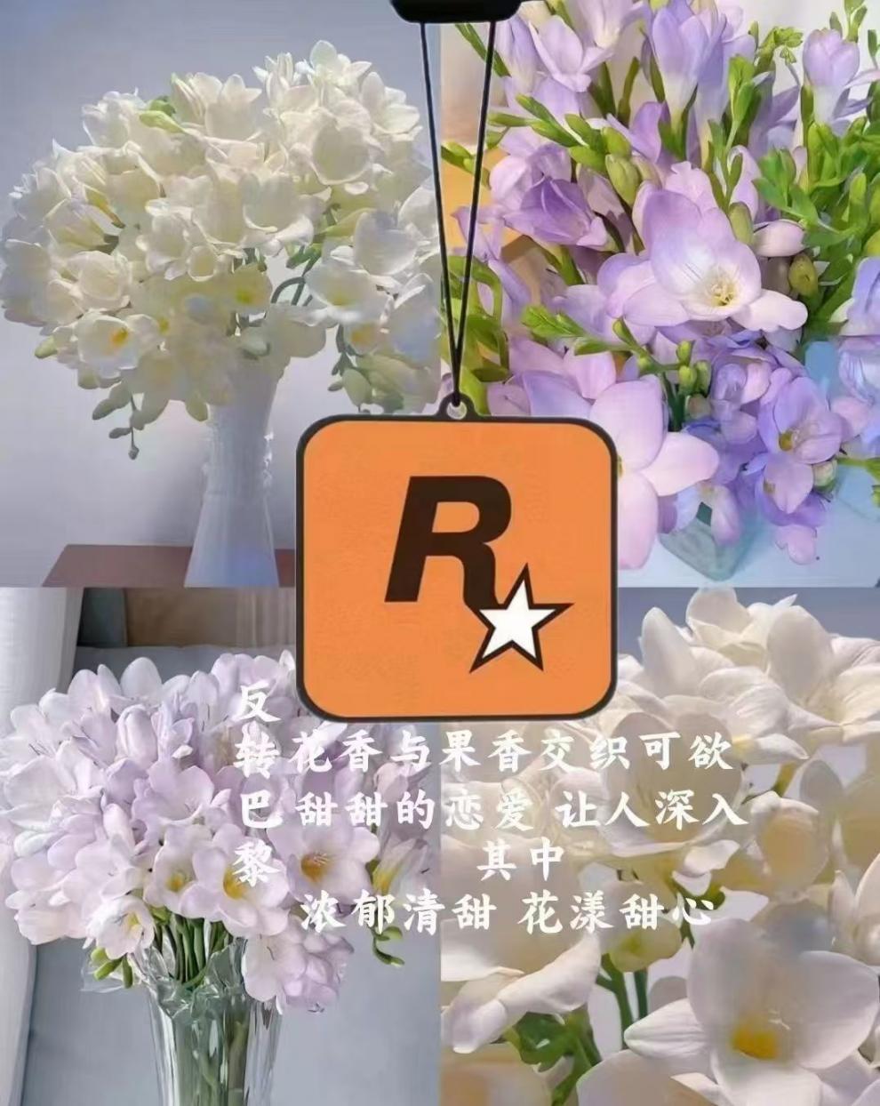 96bc2095-4cf1-40c6-bd7d-c910425310c7.jpe