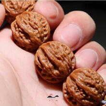 ������ʽ������С�����ִ��T�^��Ұ��С���Ӵֽ����Һ��ֳ����A