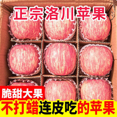 精选陕西洛川苹果红富士脆甜冰糖心苹果批发整箱新鲜苹果水果|ms