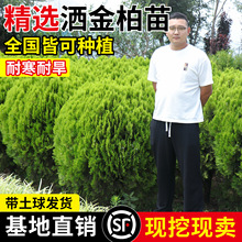 ؘɰľԵԻͥԺGֲSԭɱ