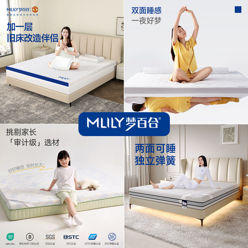Dream Lily Brand Sf Memory Foam Zero Pressure Spinal Support Hotel Home Bedroom Mattress Soft and Firm Dual-Use Thick Pad