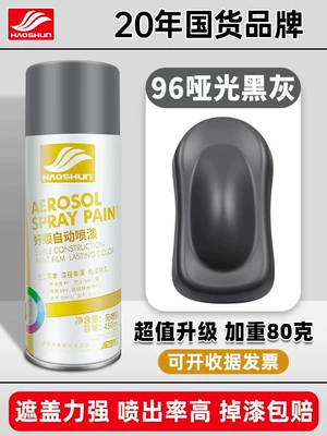 Avtomobil boyası Paint Matte Black Paint That - matte-black-gray-450mlbottle