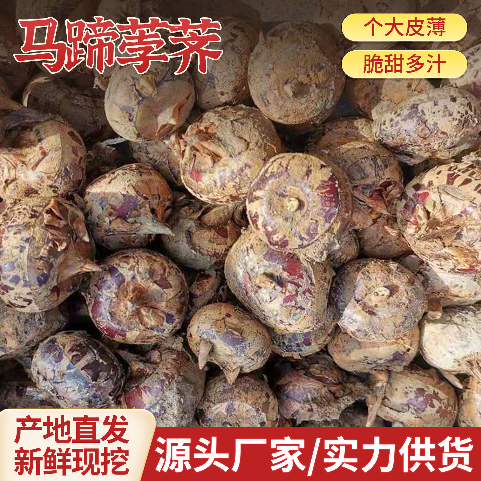 Fresh Seasonal Water Chestnuts from Liuzhou, Guangxi, with Mud, Sweet and Juicy, Farm-Grown, Free Shipping
